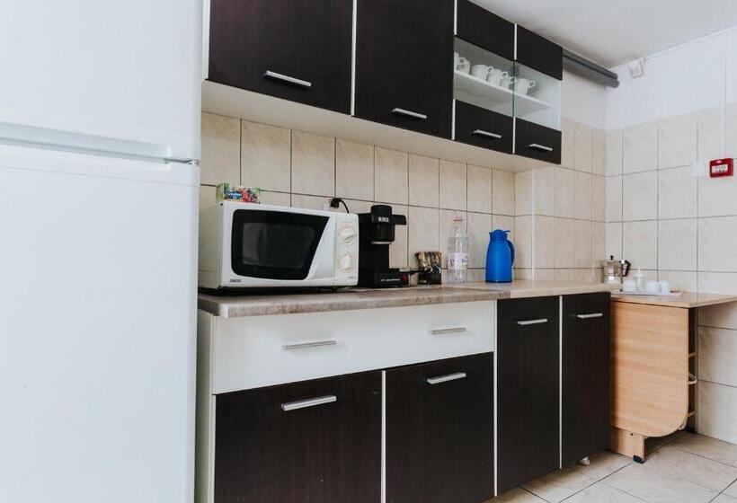 مبيت وإفطار Pension Rose Trandafirul