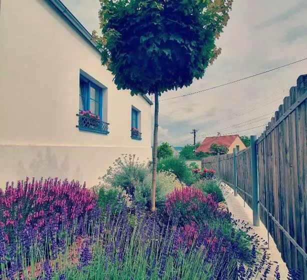Aamiaismajoitus (B&B) Sousedi Pavlov