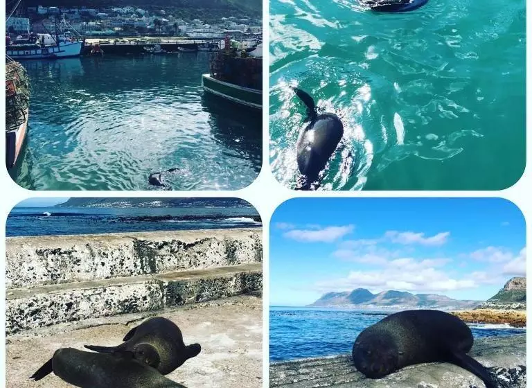 Aamiaismajoitus (B&B) The Little Palm