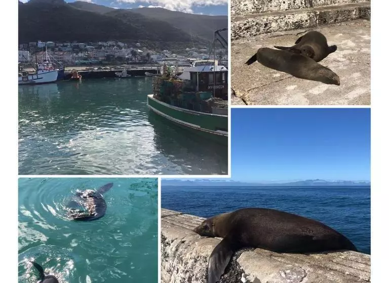 Aamiaismajoitus (B&B) The Little Palm