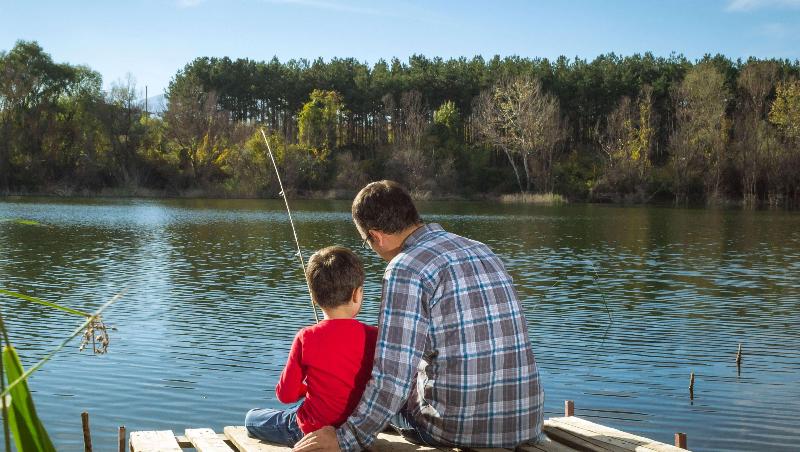 ホテル Drop Tyne Lodge