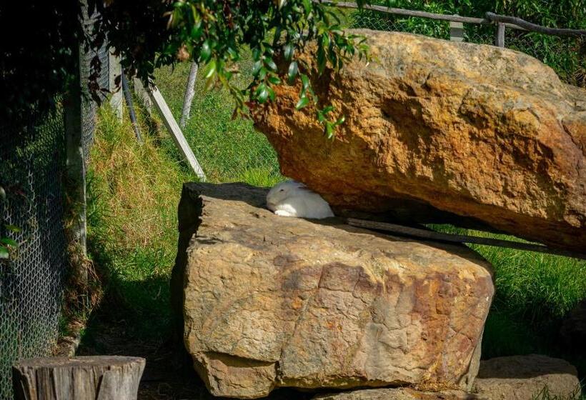 酒店 Hacienda Buenos Aires En Iza