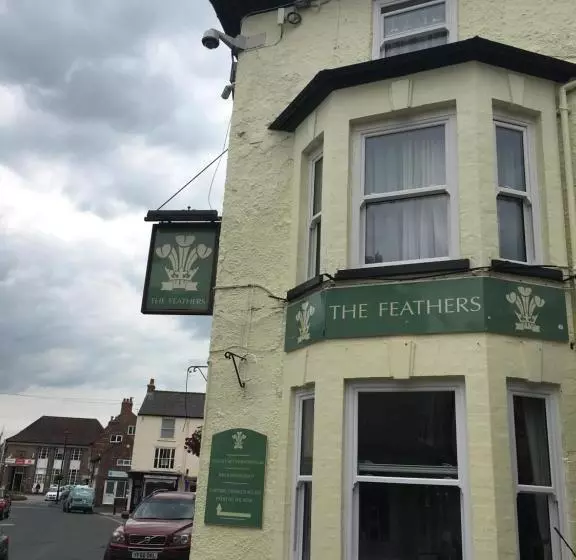 Hotelli The Feathers