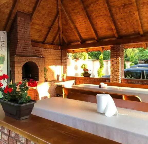 Pensiune Casa Larisa