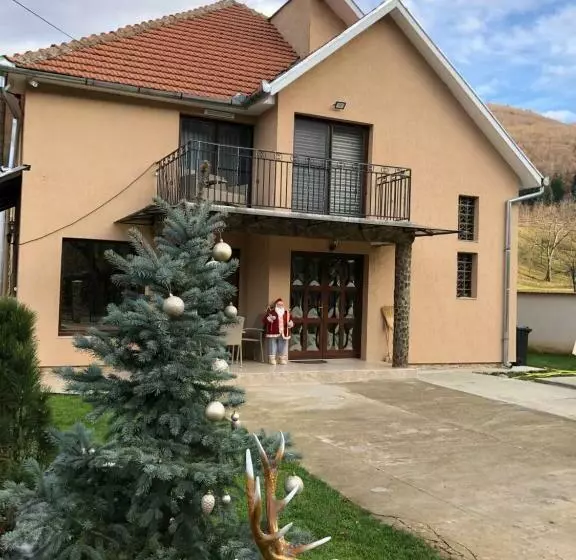 Pensiune Casa Larisa