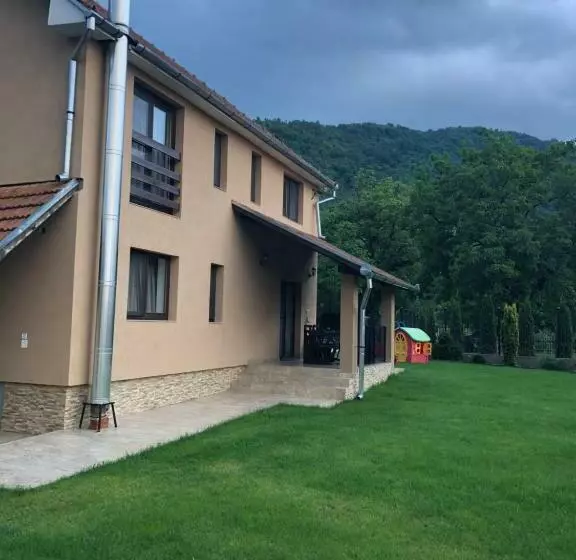 Pensiune Casa Larisa