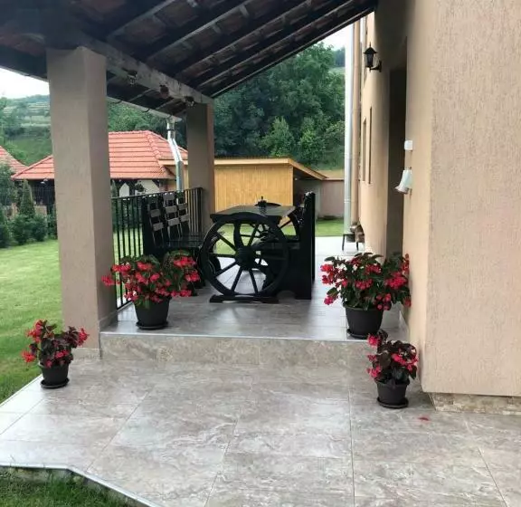 Pensiune Casa Larisa