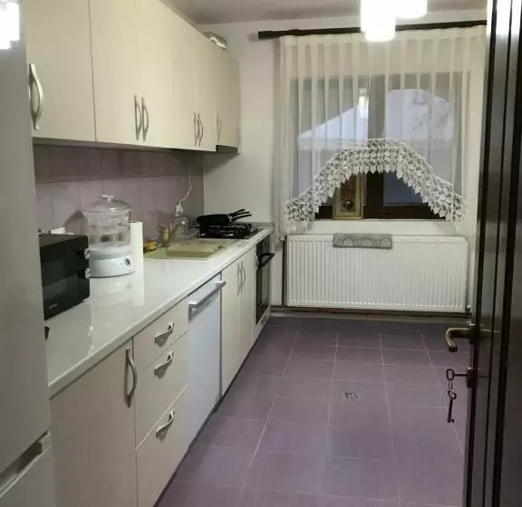 Pensiune Casa Larisa