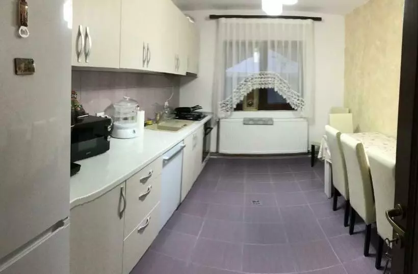 Pensiune Casa Larisa