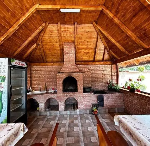 Pensiune Casa Larisa