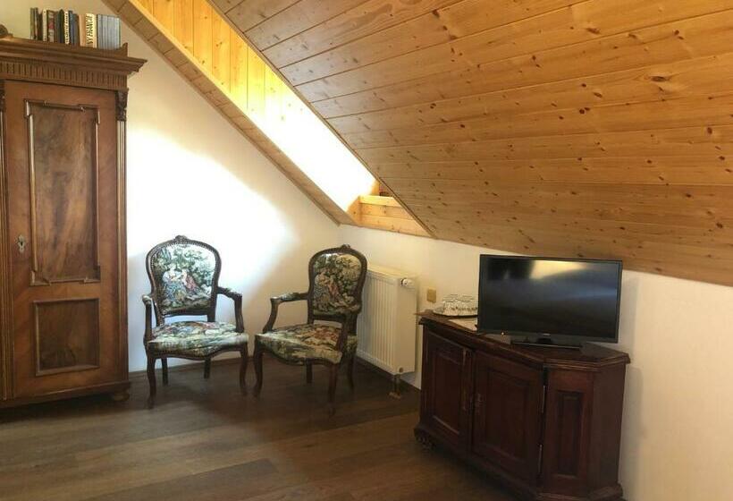 بنسيون Chata Rovina