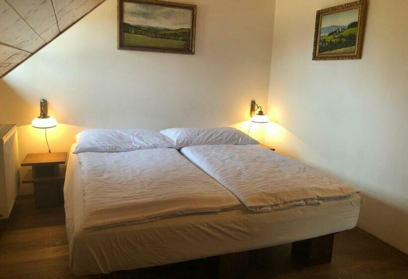 بنسيون Chata Rovina