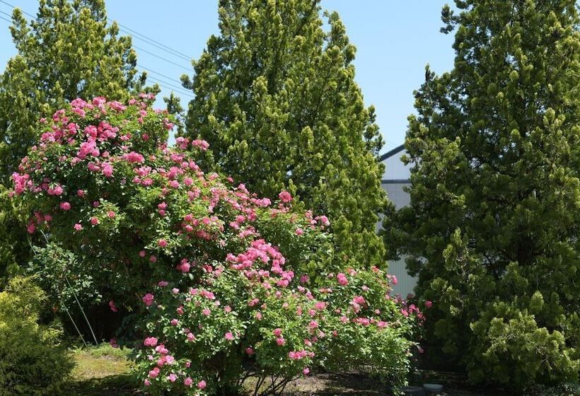 Pension (Hôtel basse catégorie) Guesthouse Kizuna