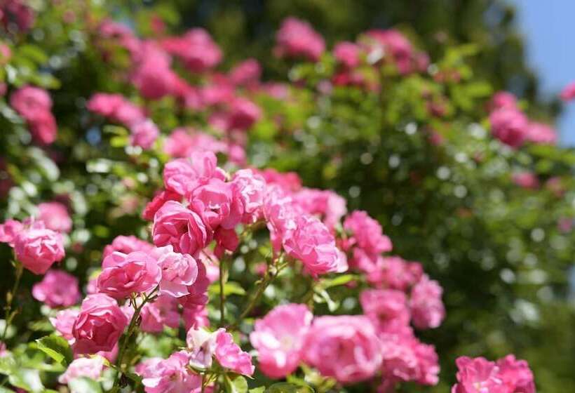 Pension (Hôtel basse catégorie) Guesthouse Kizuna