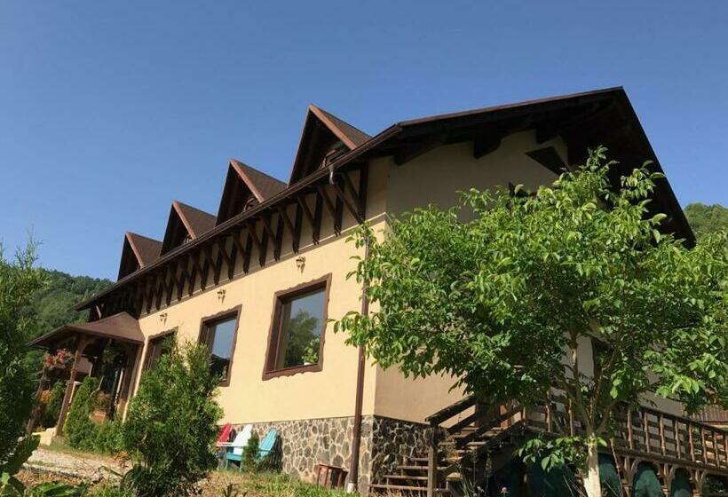 Pensiunea Valea Cu Salcâmi