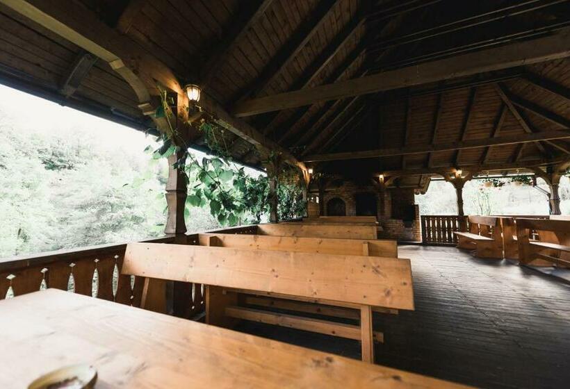 Pensiunea Valea Cu Salcâmi