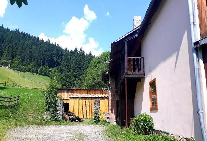 Alberg Dzherelo