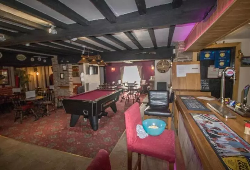 ユースホステル The Cabin Saracens Head