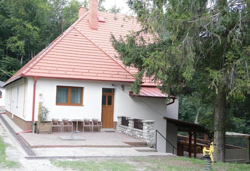 住宿加早餐  Borostyán Vendégház