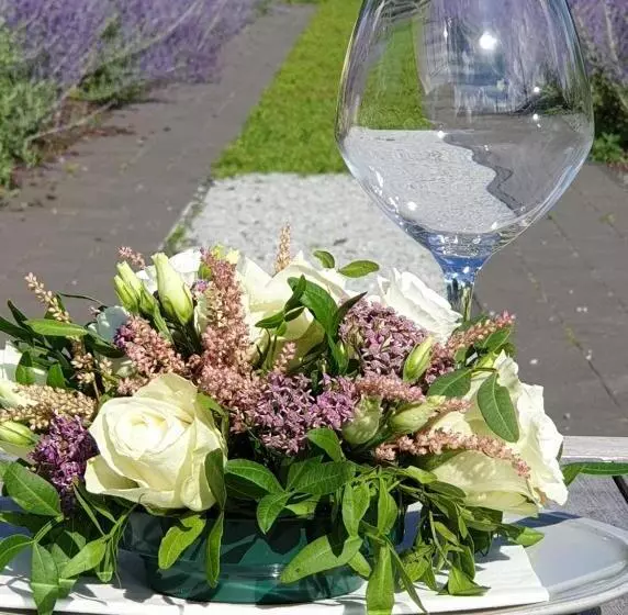 Aamiaismajoitus (B&B) De Minnetuin