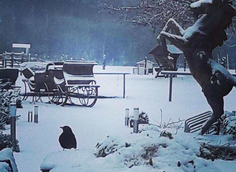 צימר De Minnetuin