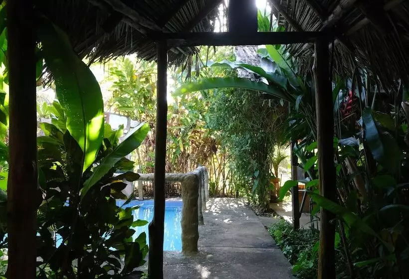 Aamiaismajoitus (B&B) Iguanitas Lodge