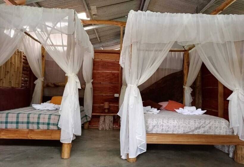 ベッドアンドブレックファースト Iguanitas Lodge