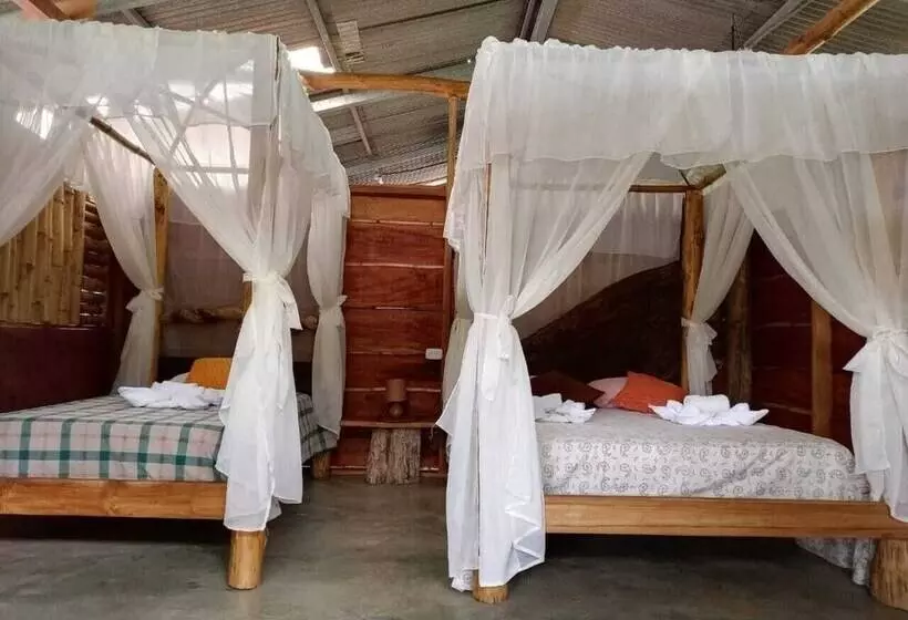 Aamiaismajoitus (B&B) Iguanitas Lodge