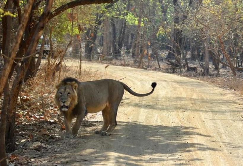 Bed and Breakfast Jash Homestay