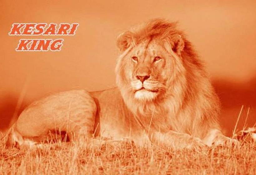 Bed and Breakfast Jash Homestay