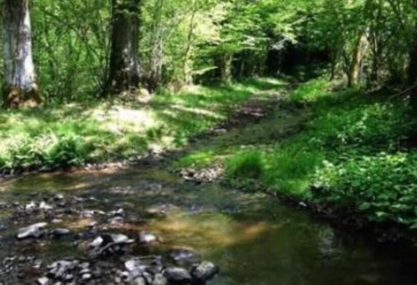 민박 Camping La Cour D Enchère