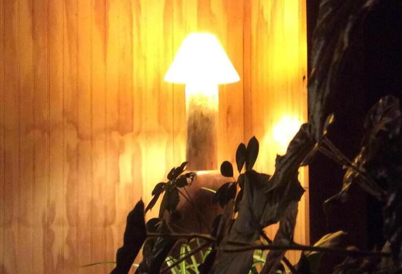 Bed & Breakfast Los Mañíos Del Queulat Puyuhuapi