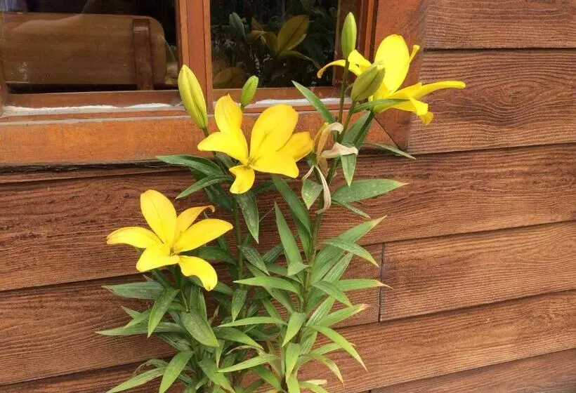 Aamiaismajoitus (B&B) Los Mañíos Del Queulat Puyuhuapi