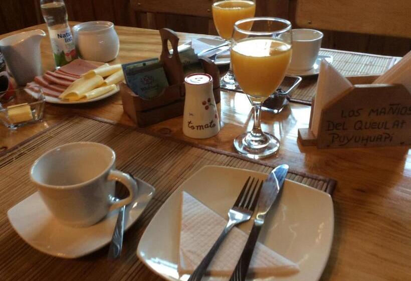 Bed & Breakfast Los Mañíos Del Queulat Puyuhuapi