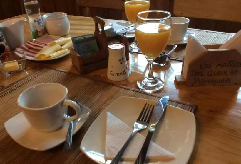 Aamiaismajoitus (B&B) Los Mañíos Del Queulat Puyuhuapi