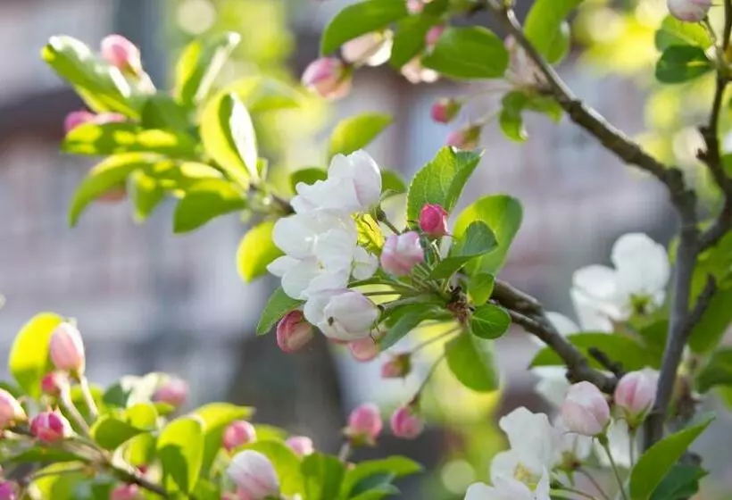 Hotelli Gasthof Restaurant Hirsch