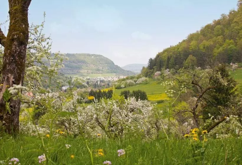 Hotelli Gasthof Restaurant Hirsch