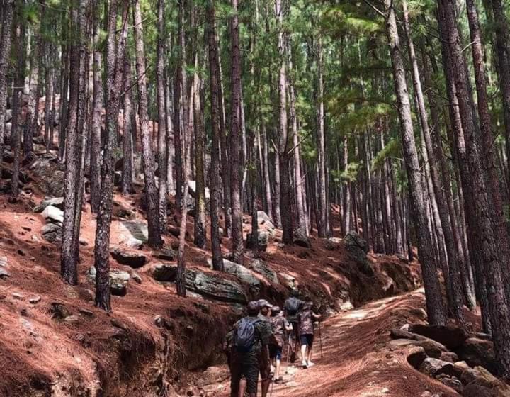 בית מלון כפרי Sennya Resorts