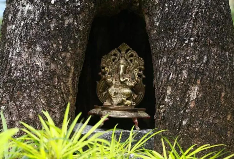 Hotelli Sennya Resorts