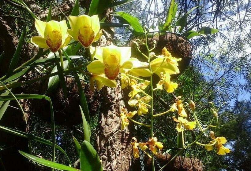 Пансион Casa Del Aguacate Cumbaya   Tumbaco