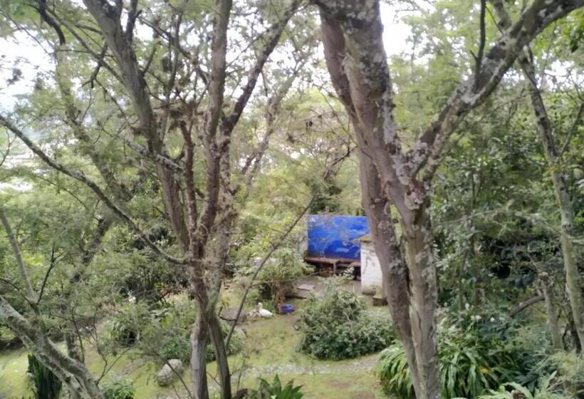 Пансион Casa Del Aguacate Cumbaya   Tumbaco