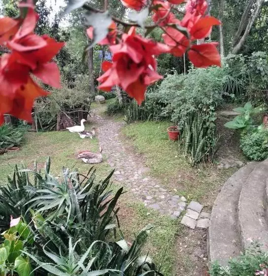 ペンション Casa Del Aguacate Cumbaya   Tumbaco