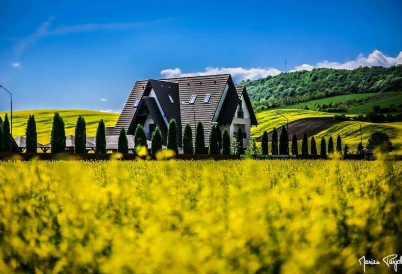 پانسیون Complex Hanul Cavalerului