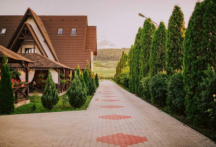 پانسیون Complex Hanul Cavalerului