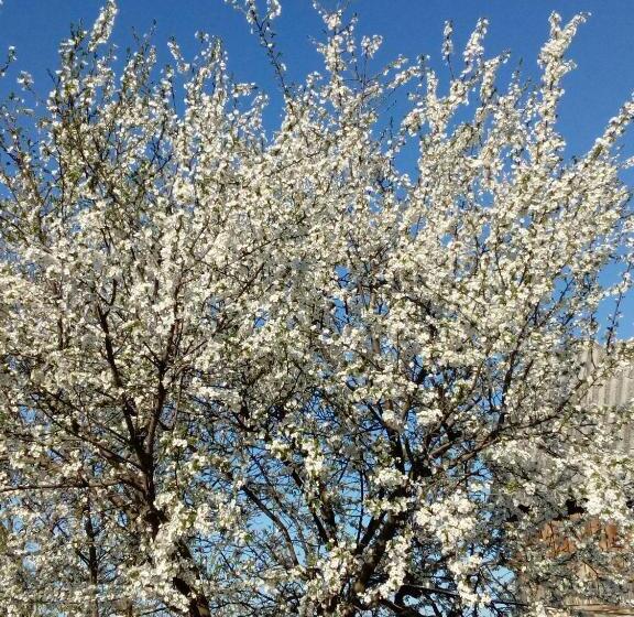 بنسيون Csergő Ildikó Vendégház