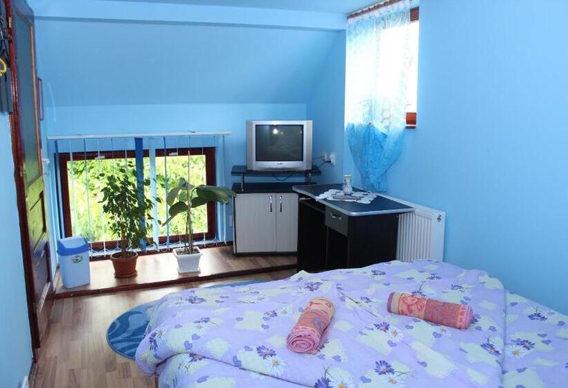 بنسيون Csergő Ildikó Vendégház