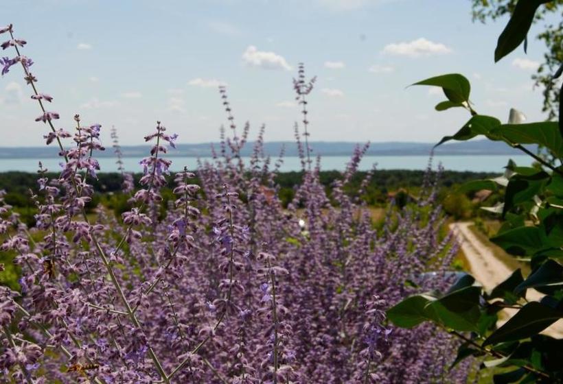 Пансион Fürjes Udvarház