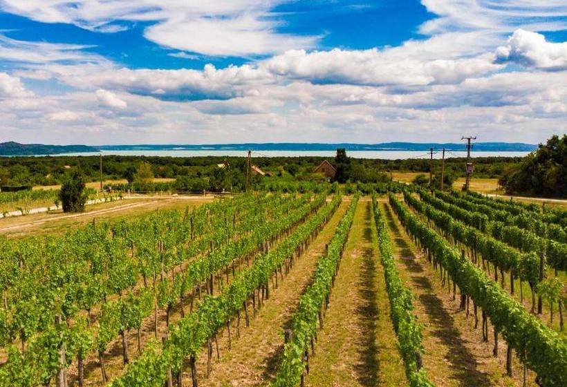 Пансион Fürjes Udvarház