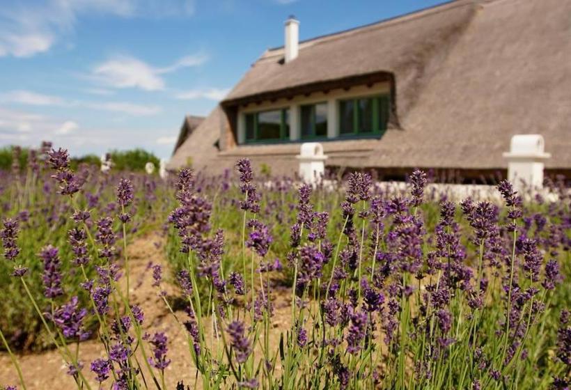 Пансион Fürjes Udvarház