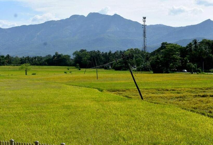 پانسیون Green Heritage Holiday Resort